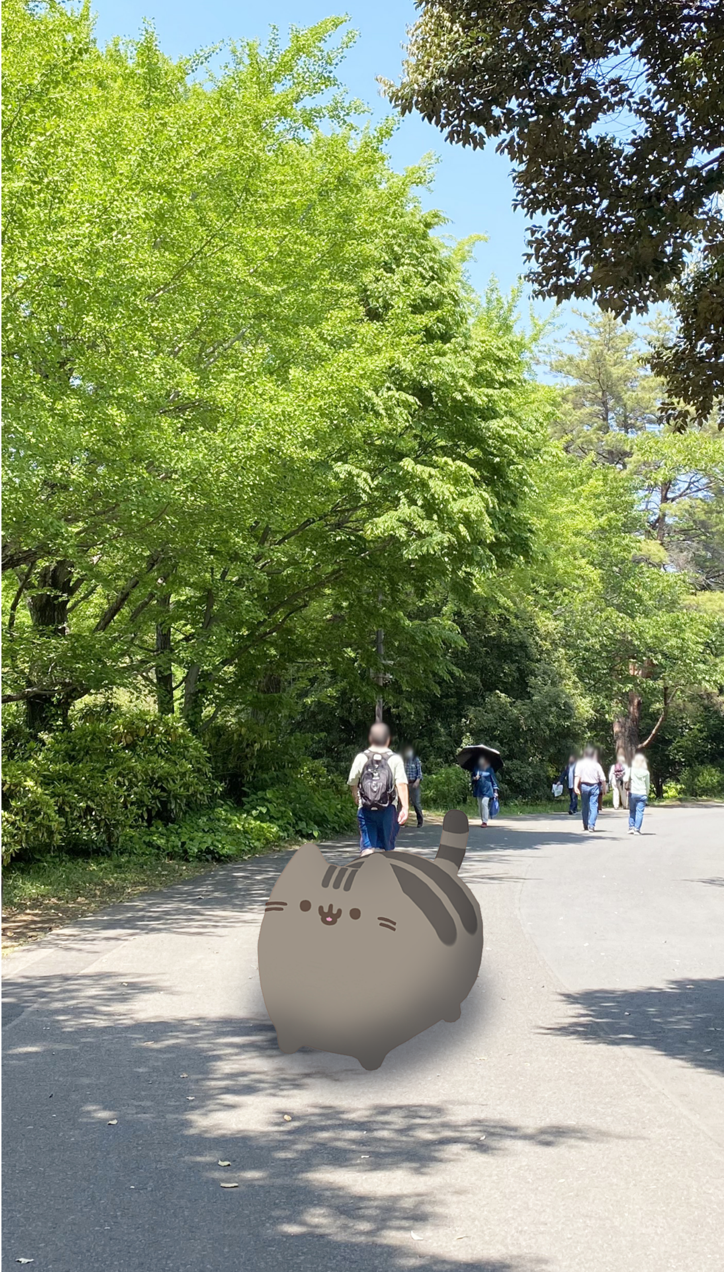 AR image0