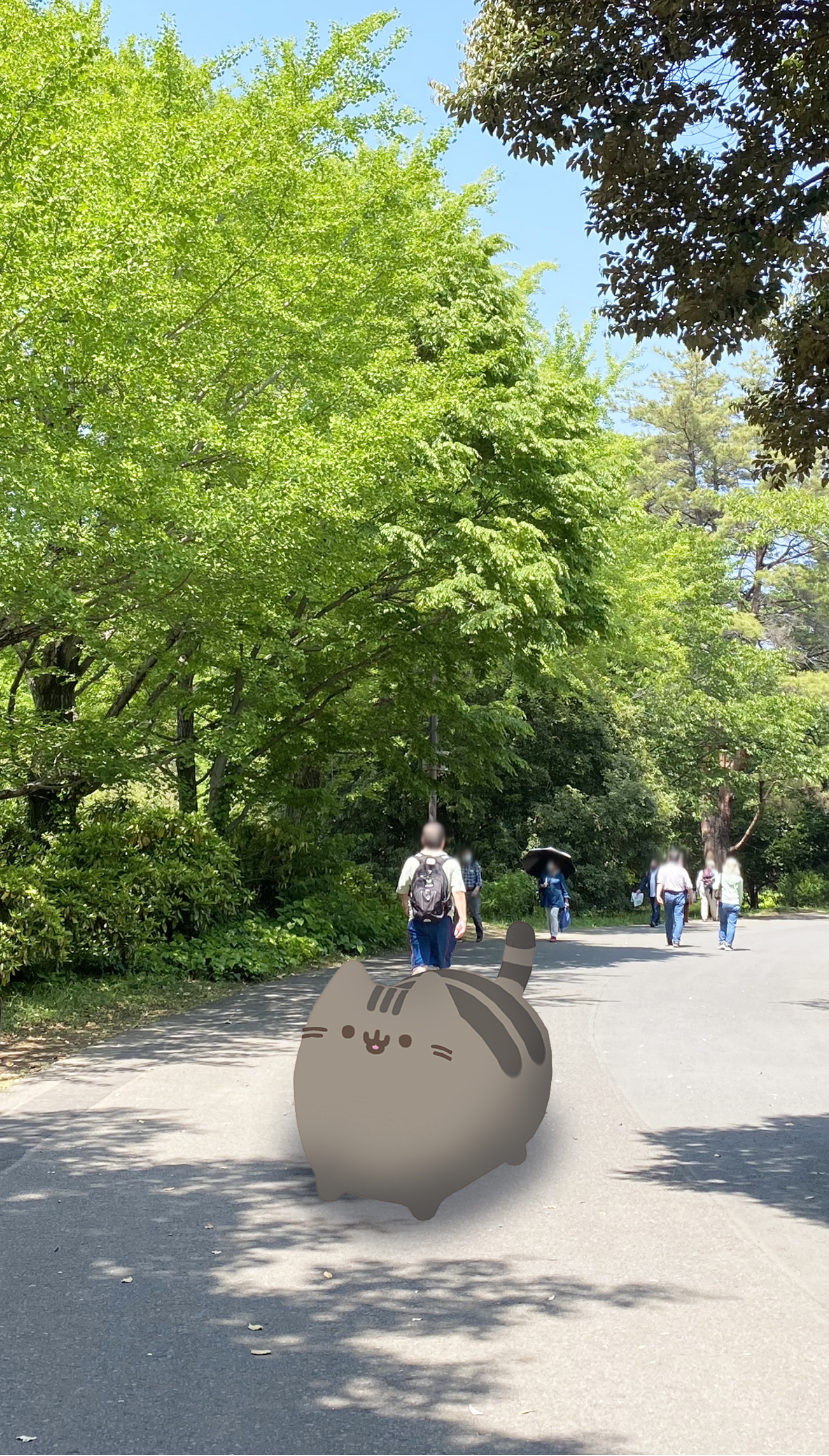 AR image1