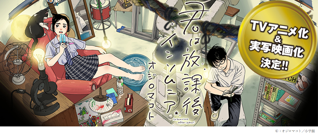 漫画君は放課後インソムニア表紙