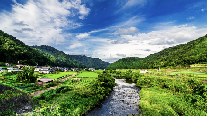 画期的で面白い方法で地域創生を成功させたい